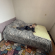 review preview photo № 1