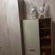 review photo № 6