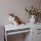review preview photo № 0
