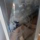 review photo № 9